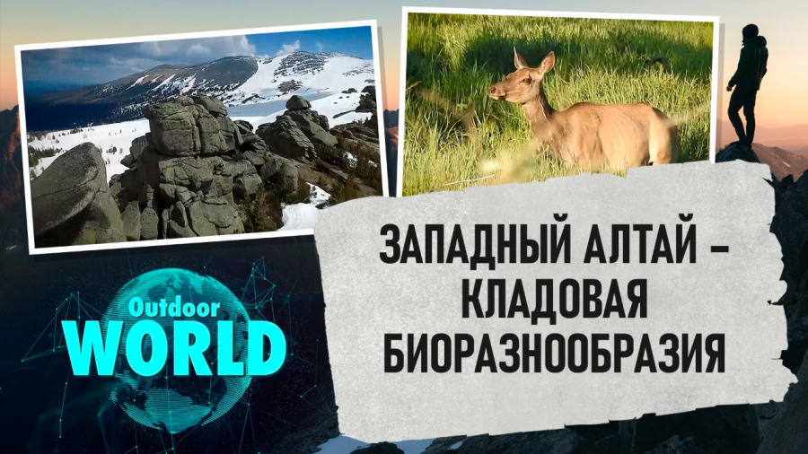 Западный Алтай – кладовая биоразнообразия