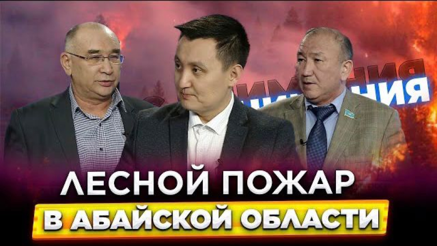 Каковы причины лесного пожара в Абайской области?