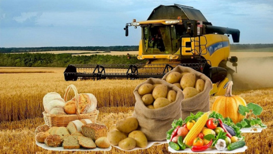 Қазақстанда азық-түлік өндірісі өсті