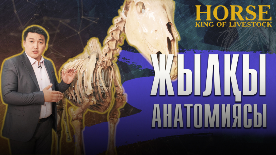 Ат сыны
