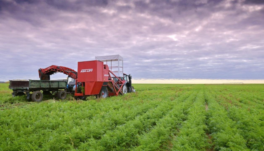 Қазақстанның агроөнеркәсіп кешенін өзгерістер күтіп тұр
