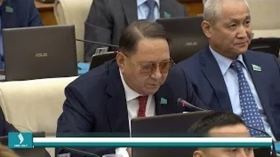 Казахстану следует пересмотреть политику импортных поставок – эксперт