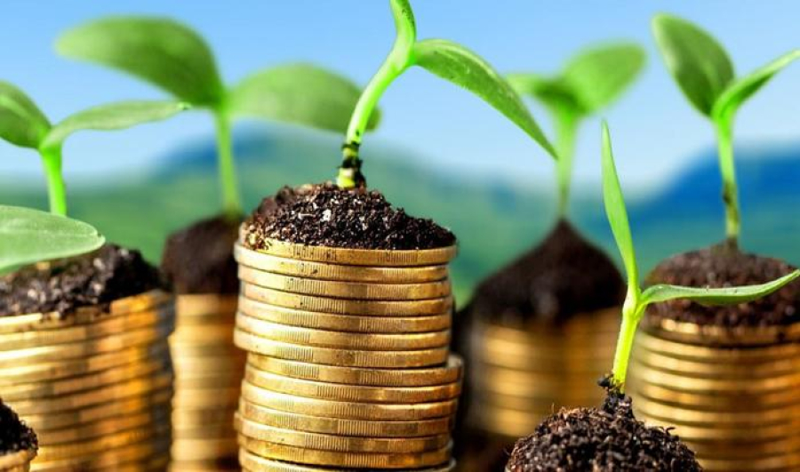Ауыл шаруашылығы өнімдерінің жалпы көлемі 6,8 трлн теңгені құрады