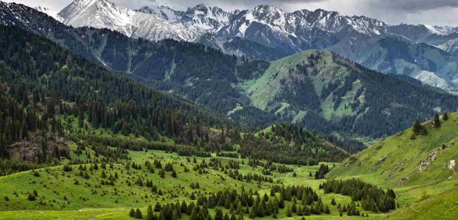 День Жайлау отмечают в РК