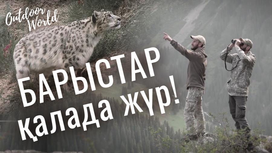 Барыстардың мекені