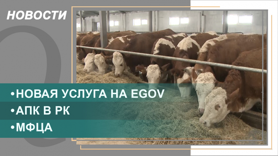 Выпуск новостей от 07.02.2022