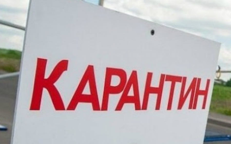 COVID-19: Қарағанды мен Қызылорда облыстарында карантин күшейтіледі