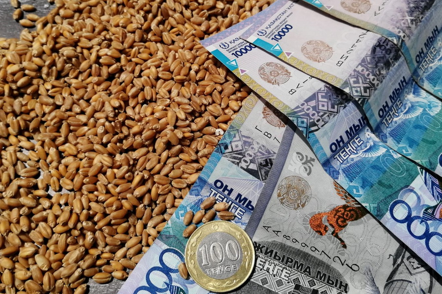 Экспорт переработанной продукции АПК увеличился на 64%