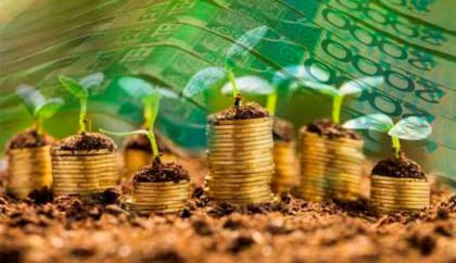 427 млрд тенге составили инвестиции в АПК в 2021 году