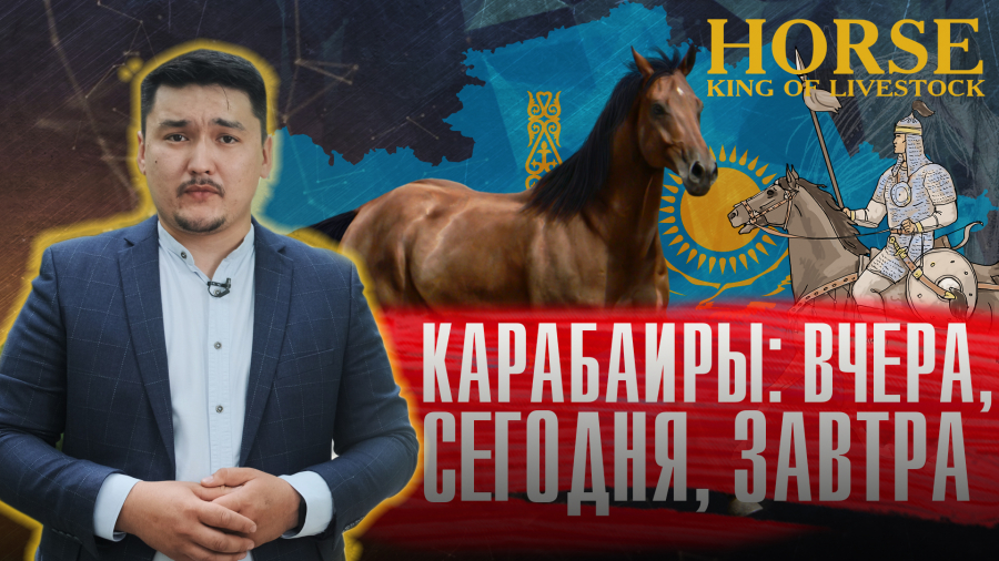 Какими качествами обладает казахский конь?