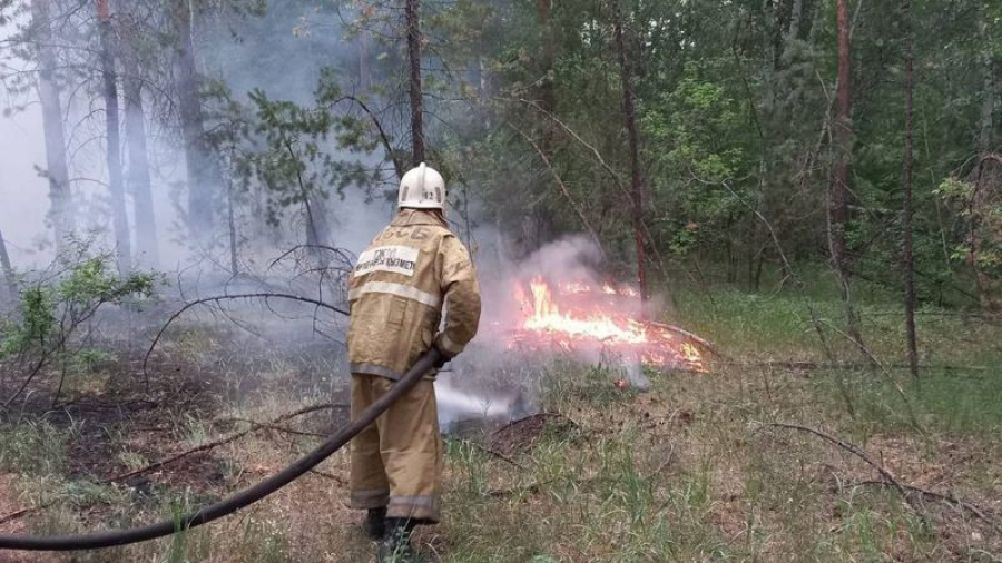 Бас прокуратура Абай облысындағы өрттің шығуы себебі бойынша үш нұсқаны атады