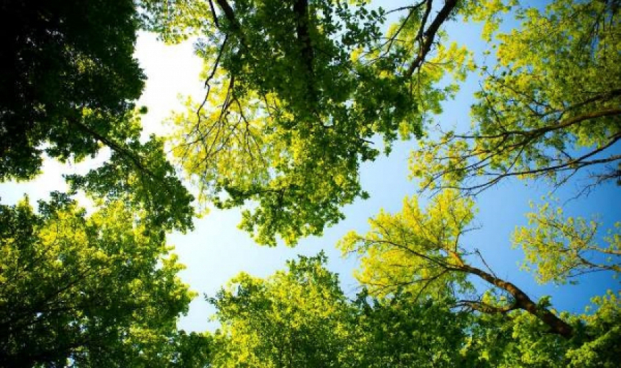 Еліміздің 10 облысында ауа райына байланысты ескерту жарияланды