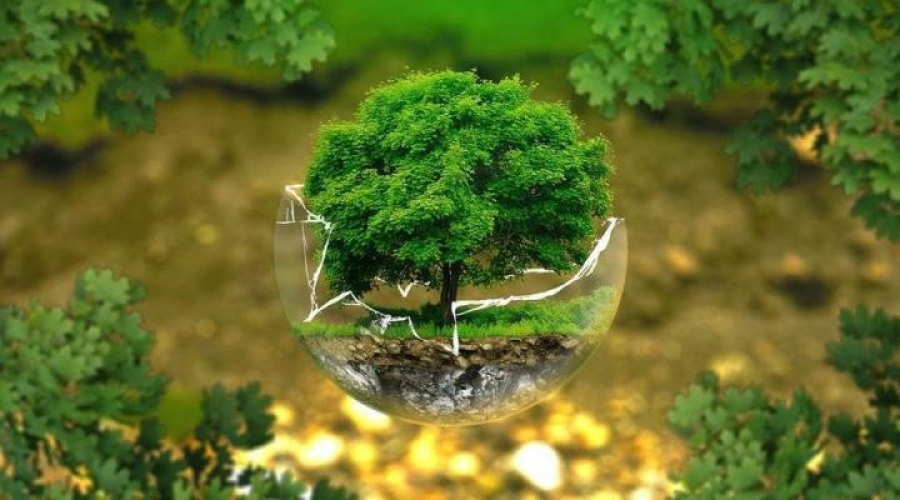 Қазақстанда 2025 жылға қарай зиянды шығарындылардың көлемі 30%-ке дейін азаяды