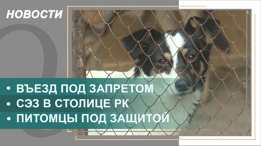 Выпуск новостей от 17.11.2021