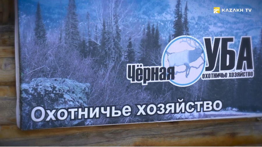 Черная Уба