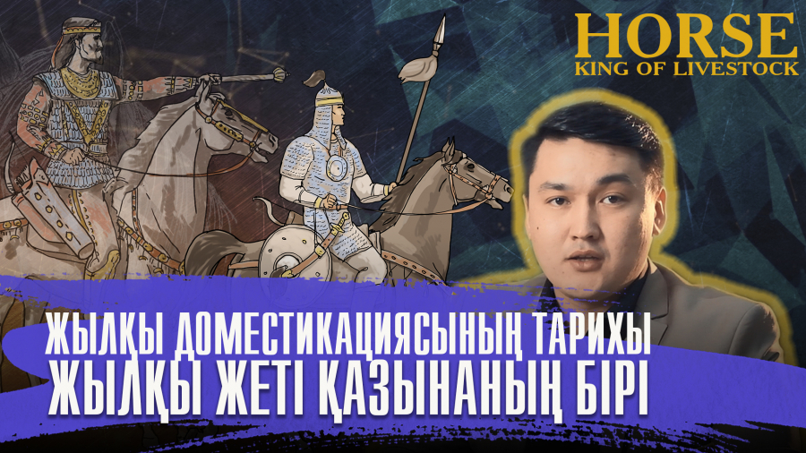 Жылқының алғаш қолға үйретілген отаны қай жер?