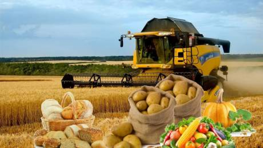 Атыраулық кәсіпорындар ауылшаруашылық өнім өндірісін әртараптандыруда