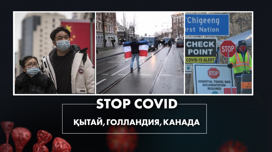 Вакцинаның егілгенін растайтын құжат қашан дайын болады?