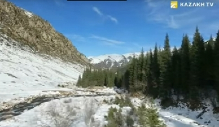 Таутеке