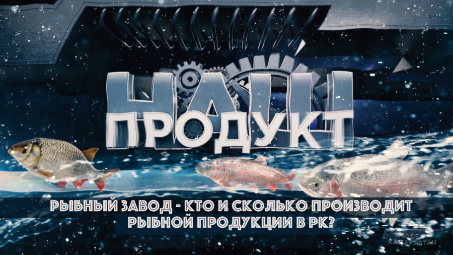 Рыбный завод – кто и сколько производит рыбной продукции в РК?