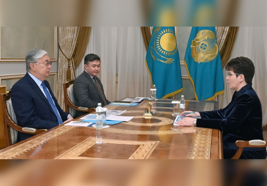 К. Токаев принял председателя высшей аудиторской палаты