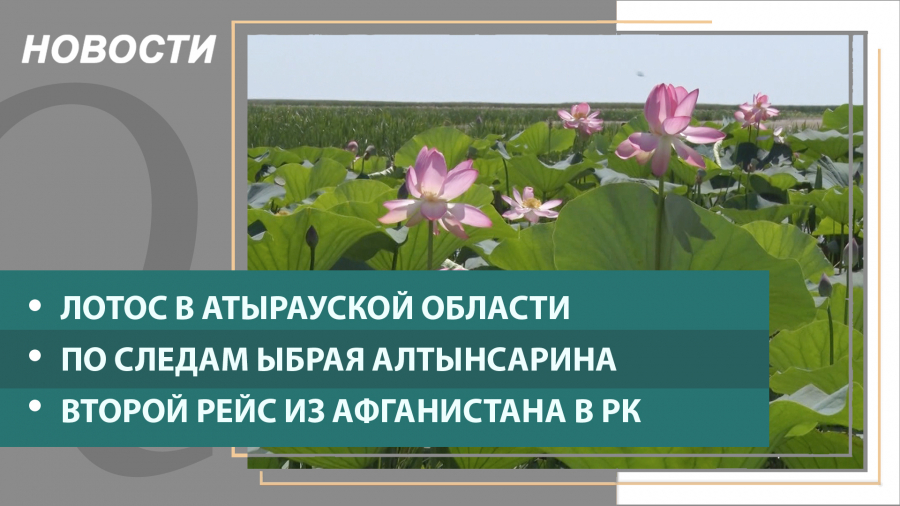 Выпуск новостей от 23.08.2021