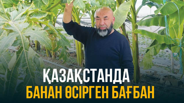 ЖАҢАЛЫҚТАР. 11.10.2023 күнгі шығарылым