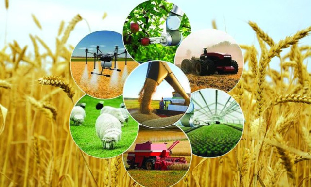 Қазақстан АӨК өнімдерінің экспортын ұлғайтты
